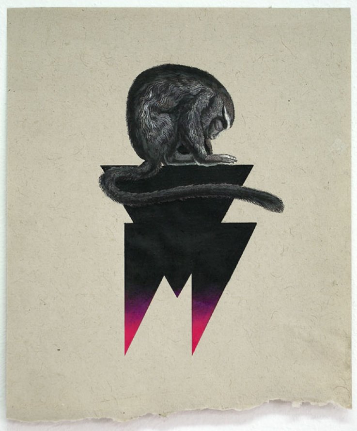 Versus, 2011,<br />
Print and coloured pencils on handmade paper, 28x34 cm