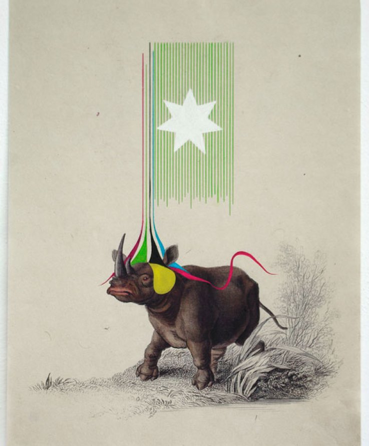 Rhino, 2011, <br />
Print and coloured pencils on handmade paper, 32x42 cm