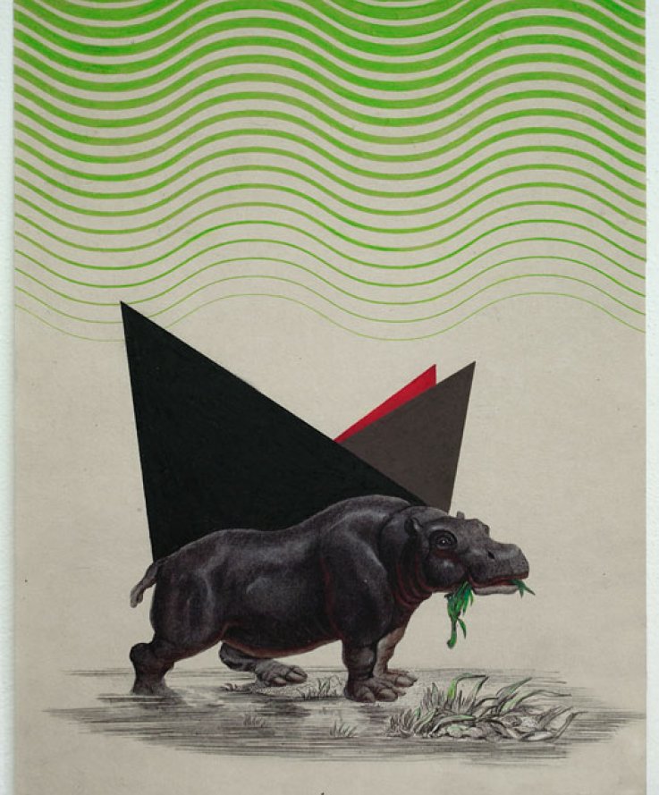 Hippo, 2011, <br />
Print and coloured pencils on handmade paper, 32x43 cm