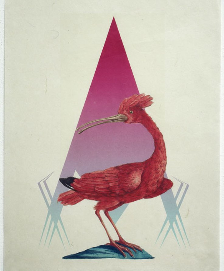 Birdie, 2011, <br />
Print and coloured pencils on handmade paper, 32x43 cm
